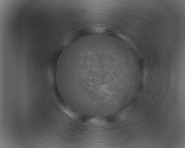 X0000072960568200607211200