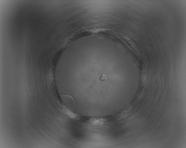 X0000072960569200607211200