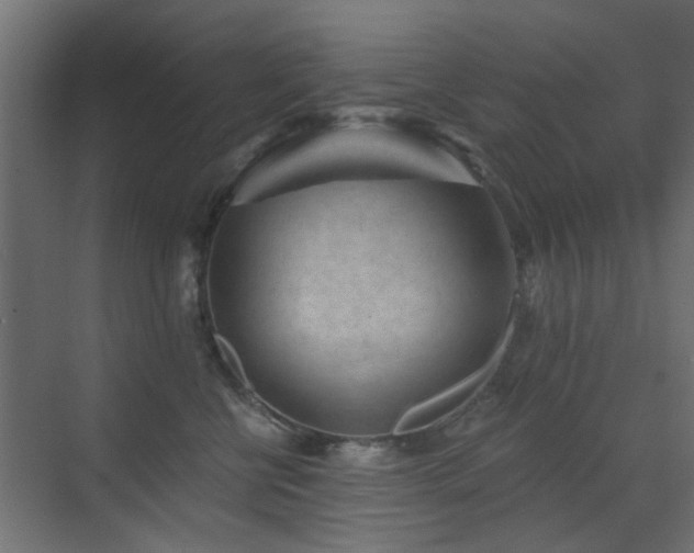 X0000072960570200607211200