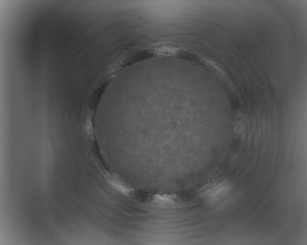 X0000072960573200607211200