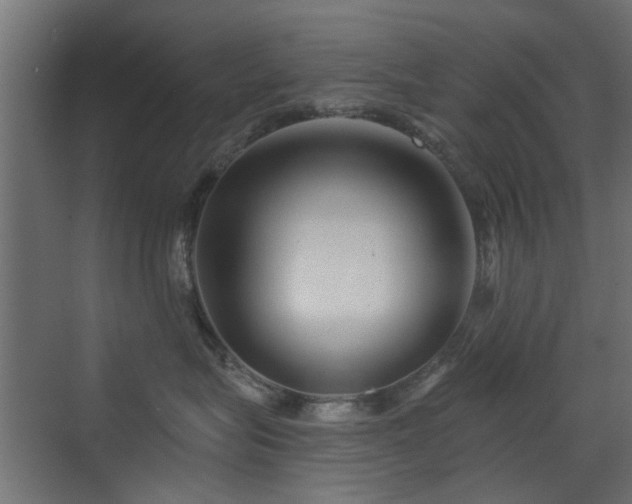 X0000072960575200607211200