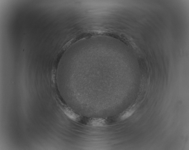 X0000072960576200607211200