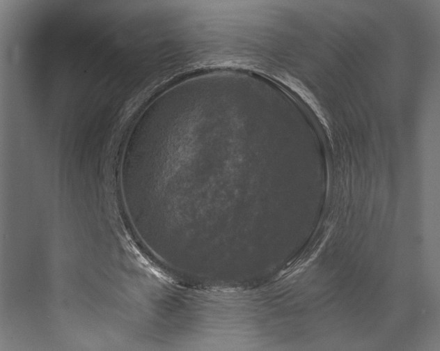 X0000072960577200607211159