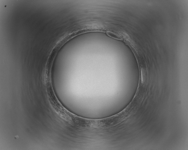 X0000072960579200607211159