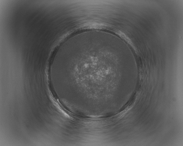 X0000072960581200607211159