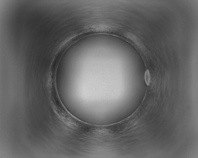 X0000072960583200607211159