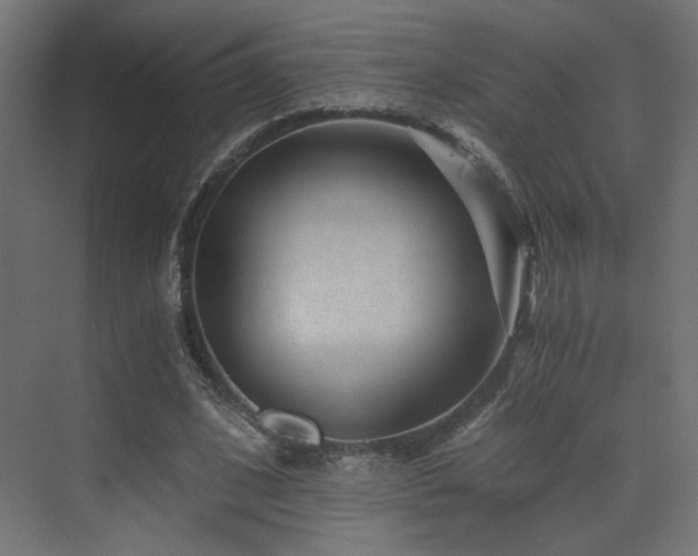 X0000072960584200607211159