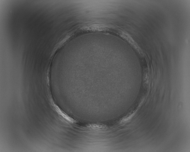 X0000072960585200607211159