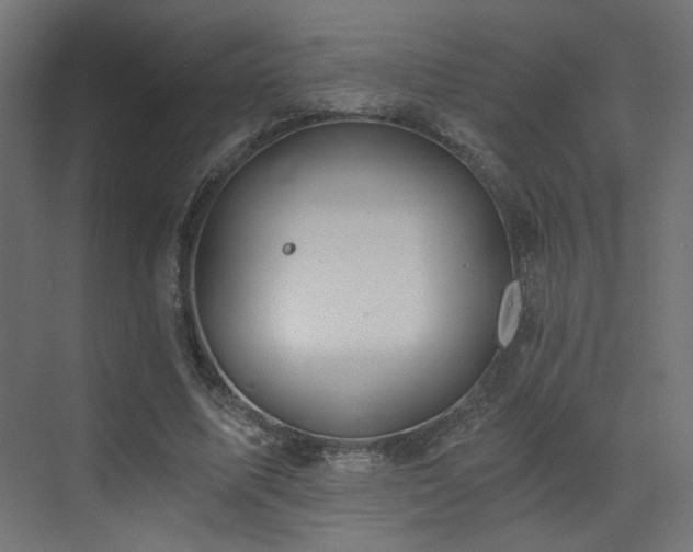 X0000072960587200607211159