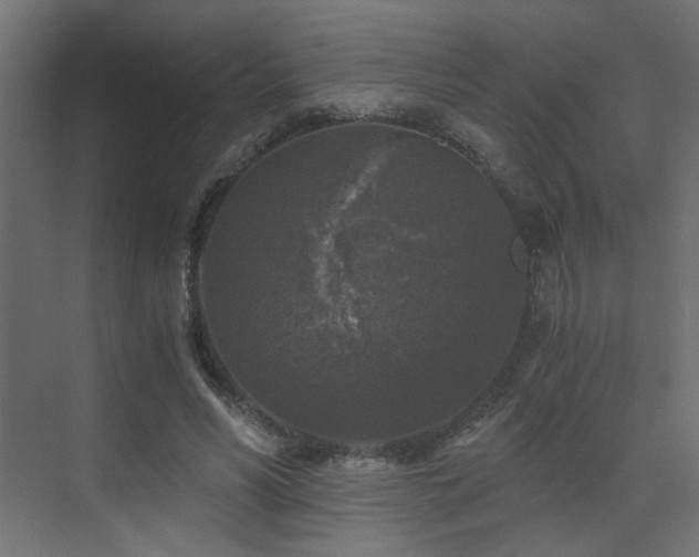 X0000072960590200607211159