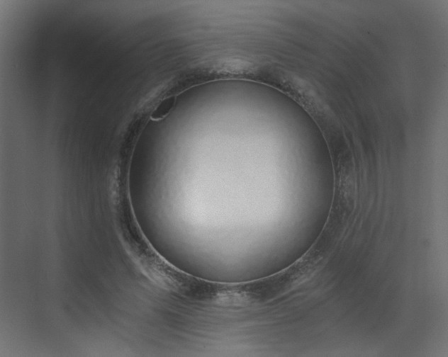 X0000072960591200607211159