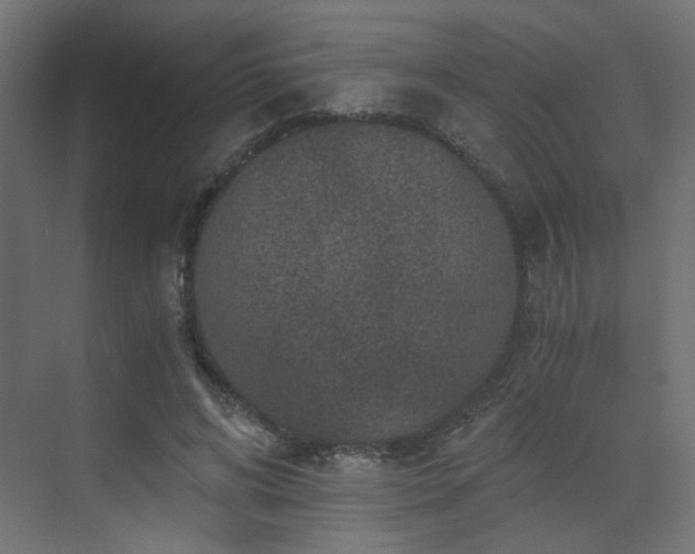 X0000072960592200607211159