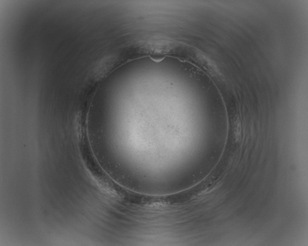 X0000072960594200607211159