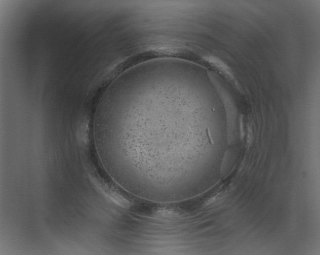 X0000072960596200607211159