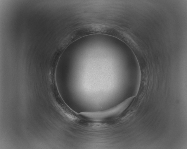 X0000072960597200607211159