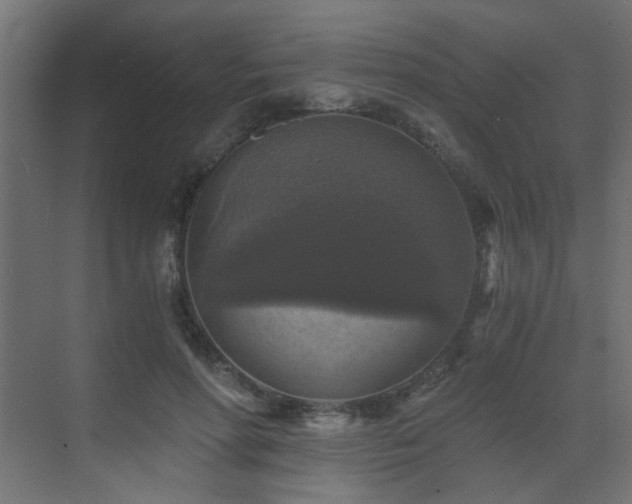 X0000072960598200607211159