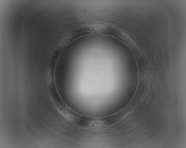 X0000072960599200607211159