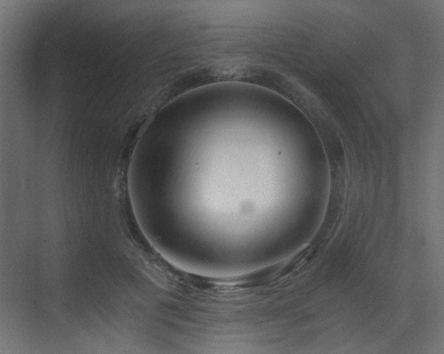 X0000072960601200607211159