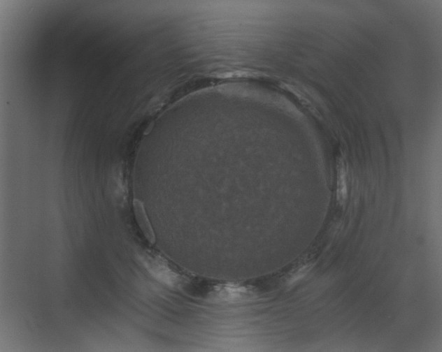 X0000072960607200607211159