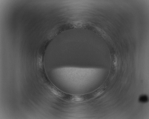 X0000072960610200607211159