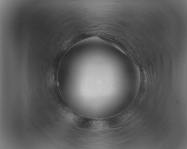 X0000072960615200607211159