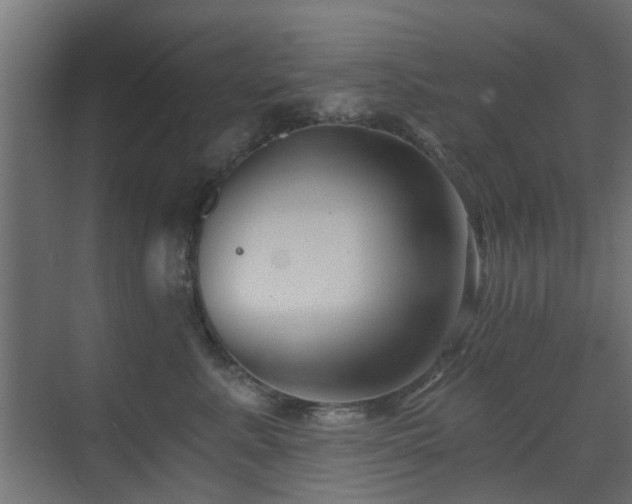 X0000072960619200607211159