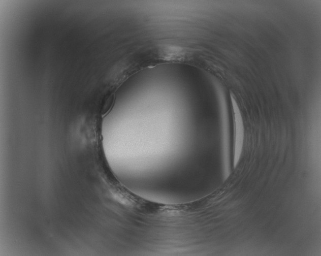 X0000072960620200607211159