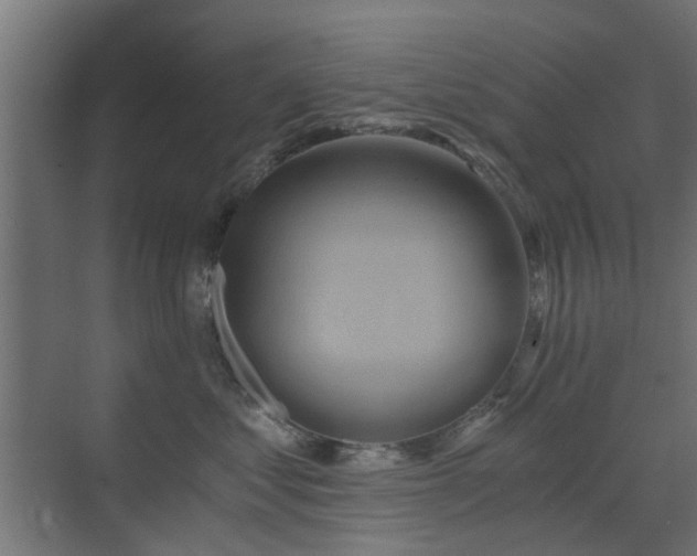 X0000072960621200607211159