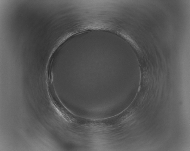 X0000072960626200607211158