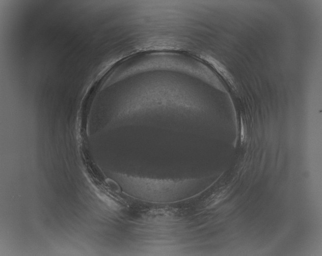 X0000072960627200607211158