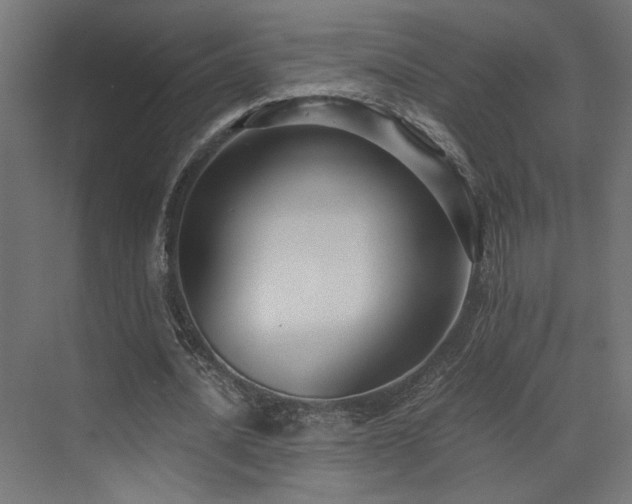 X0000072960628200607211158