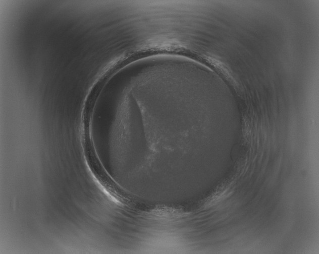 X0000072960630200607211158