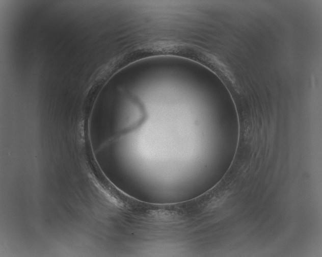 X0000072960633200607211158