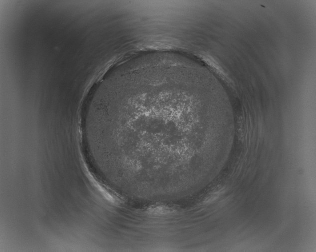 X0000072960634200607211158