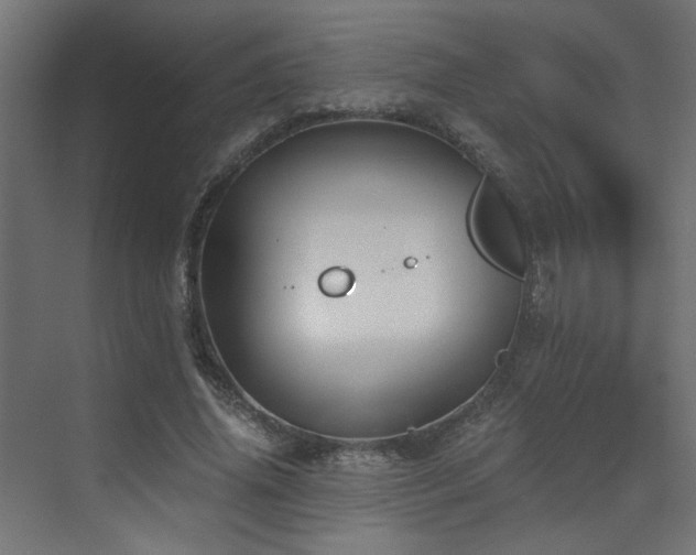 X0000072960636200607211158