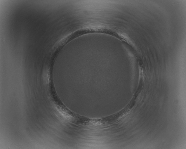 X0000072960640200607211158