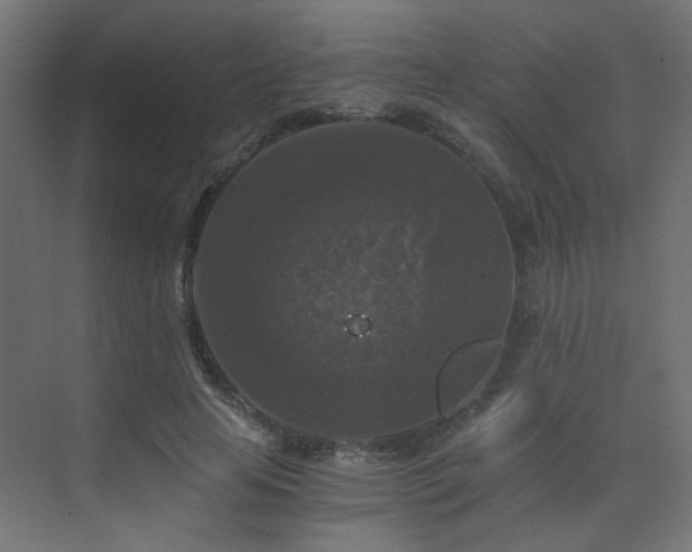 X0000072960641200607211158