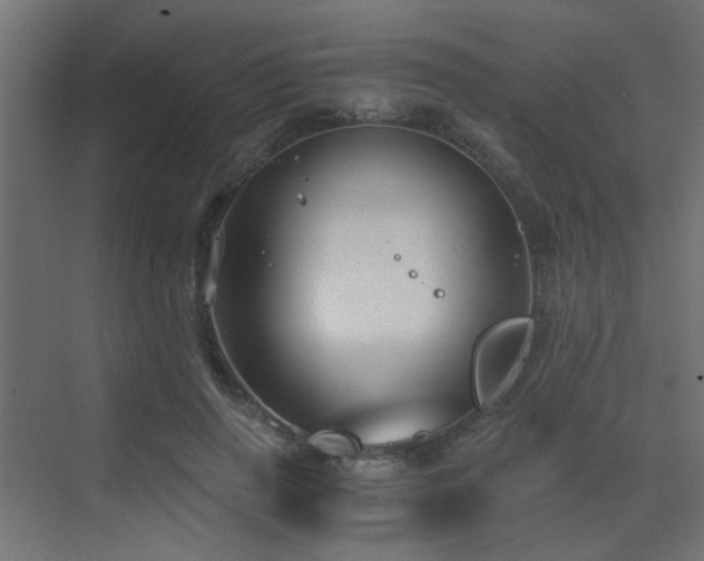 X0000072960645200607211158