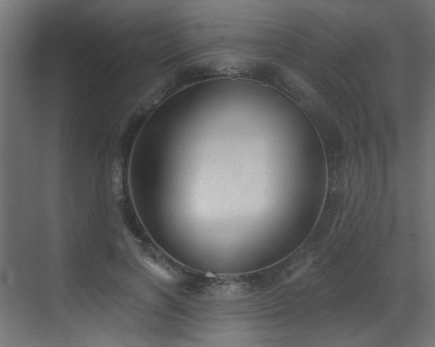 X0000072960646200607211158