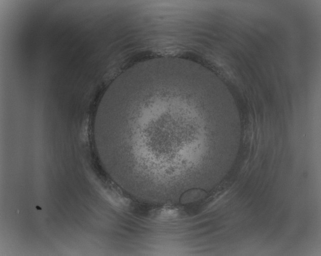 X0000072960647200607211158