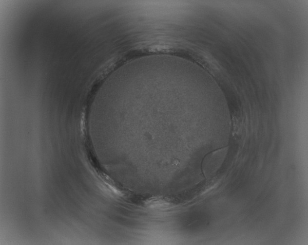 X0000072960648200607211158