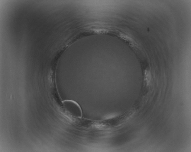 X0000072960650200607211158