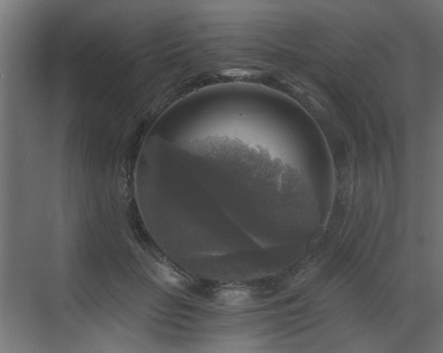 X0000072960653200607211158