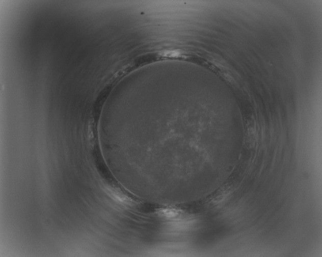 X0000072960654200607211158