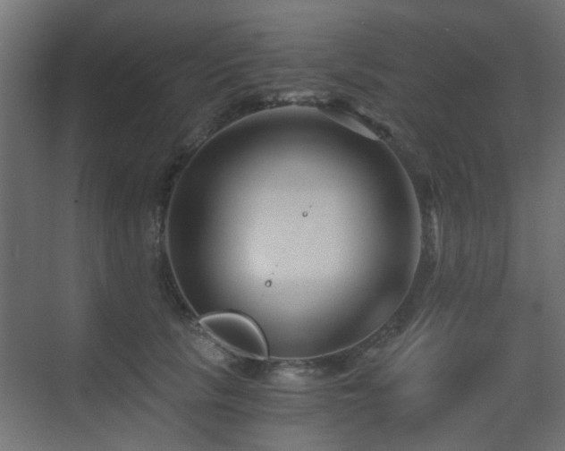 X0000072960657200607211158