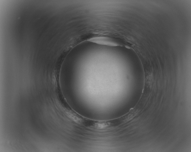 X0000072960662200607211158