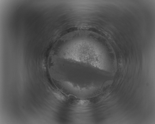 X0000072960663200607211158