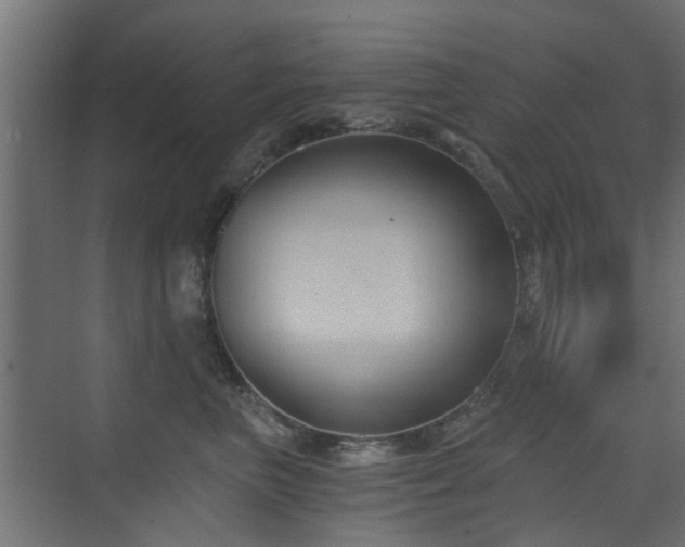 X0000072960667200607211159