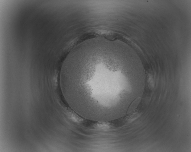 X0000072960668200607211159