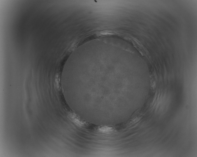 X0000072960669200607211159